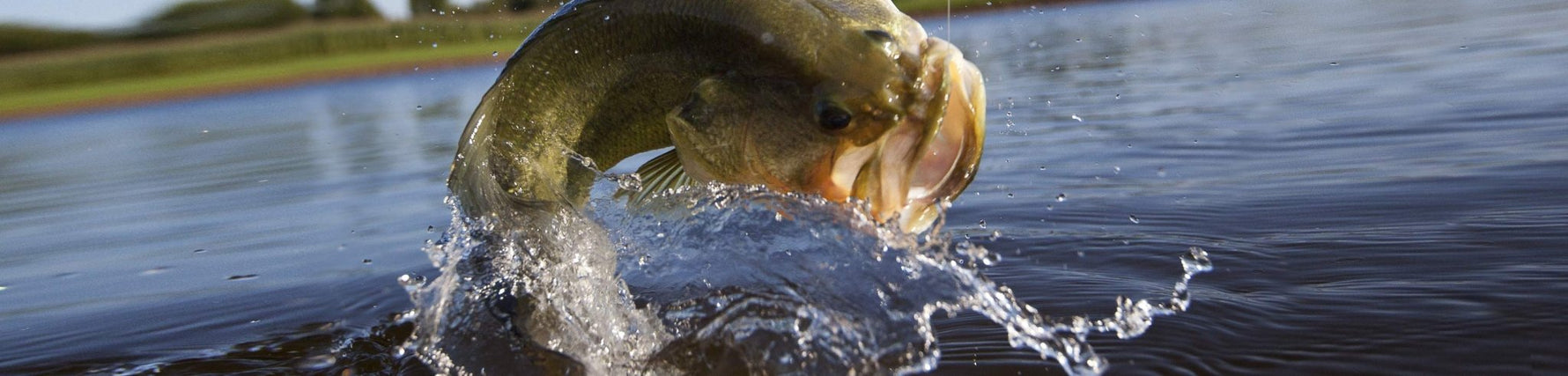 Hooked on New Jersey: Top Freshwater Fishing Spots for Bass and More - Obee Fishing Co.