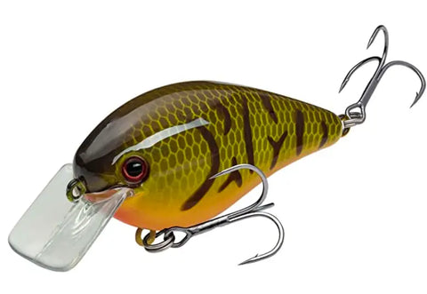 Best Winter Bass Fishing Baits: Jerkbaits Jigs Crankbaits