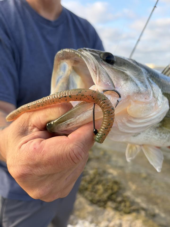 Person holding a largemouth bass with a fishing lure in its mouth, outdoors.