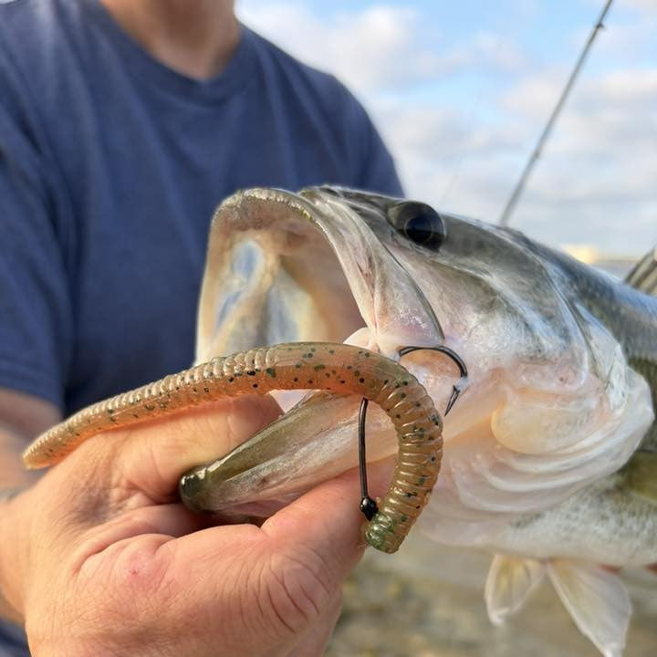 6" Finesse Worm | Motor Oil