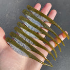 Obee 5" Jerk Minnow – Baby Bass (6-Pack)