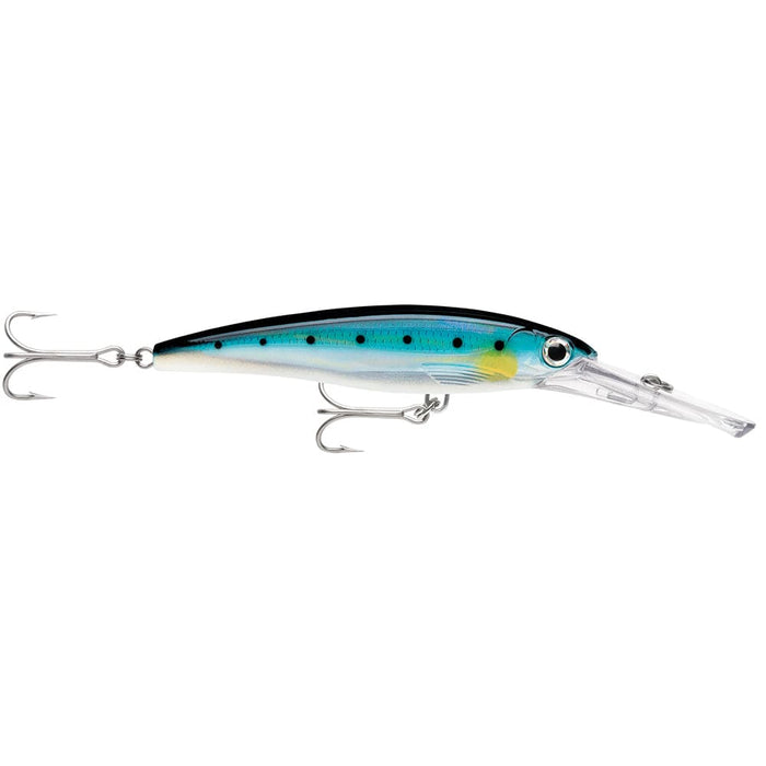 Rapala X-Rap Magnum 15 Blue Sardine - Hard & Soft Baits