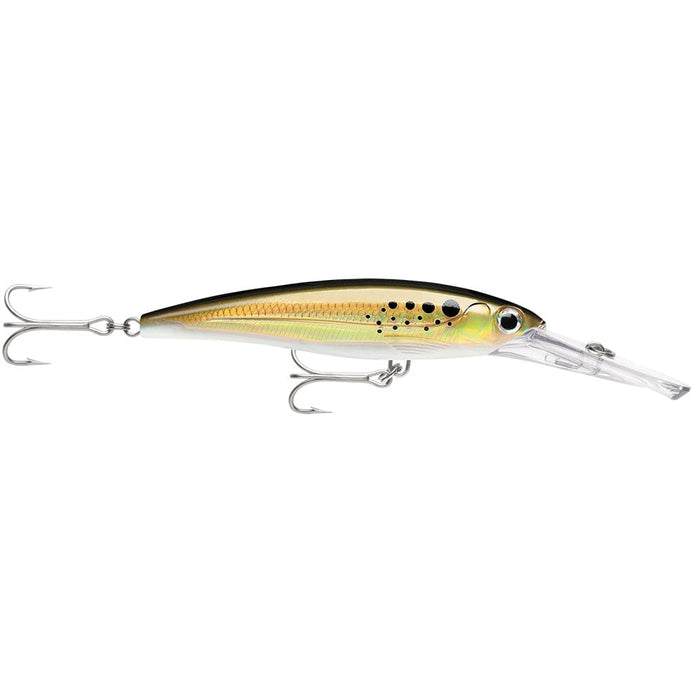 Rapala X-Rap Magnum 15 Bunker - Hard & Soft Baits