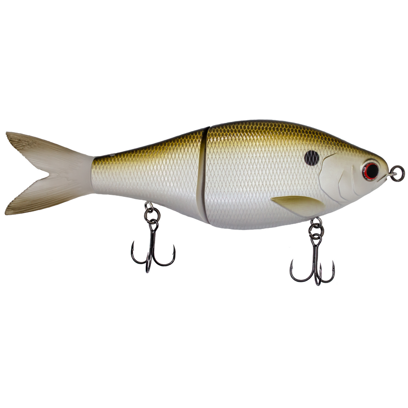 Sway GB - Gizzard Shad