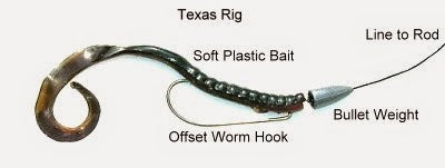 4 Ways You Can Catch Huge Fish With Soft Plastic Worms