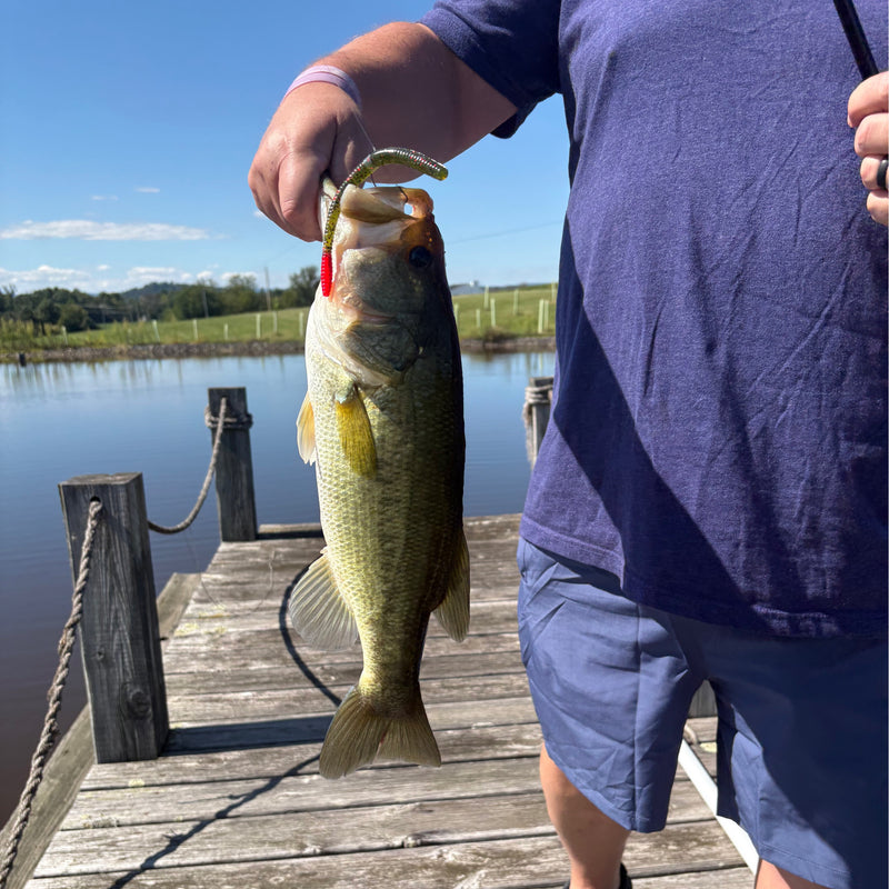 6" Finesse Worm | Watermelon Red Tip